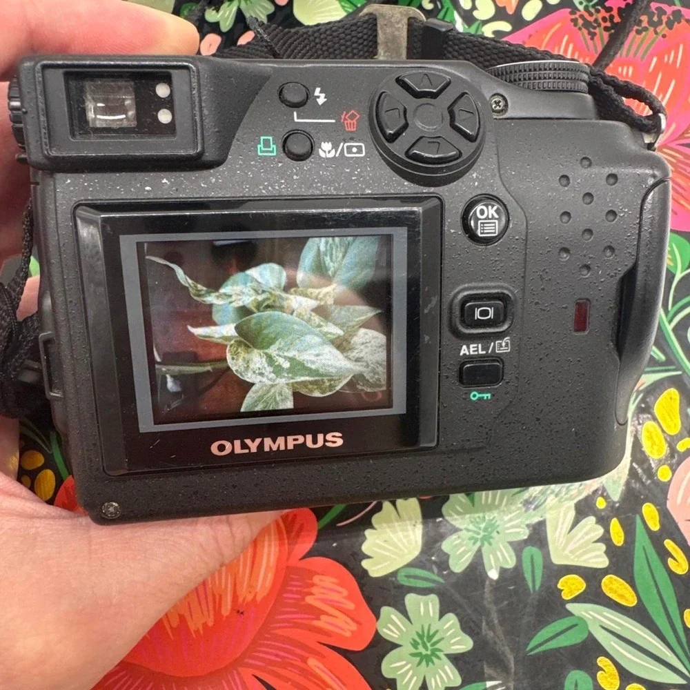 Olympus Camedia C-4040 Zoom Digital Camera – Compact Point-and-Shoot Camera